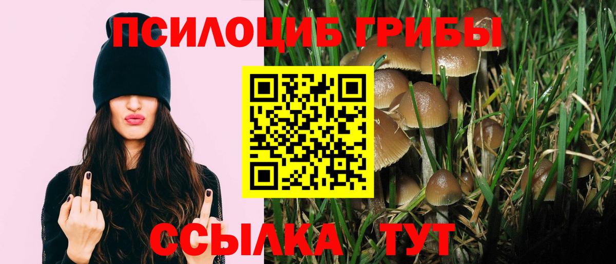 Заречный  Псилоцибиновые грибы прущие грибы  Вход с VPN 