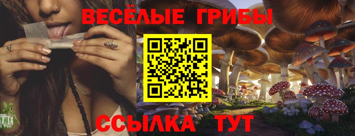 Галлюциногенные грибы Psilocybine cubensis Заречный